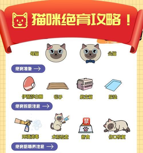 绝育猫粮如何消毒？处理时需要注意什么？
