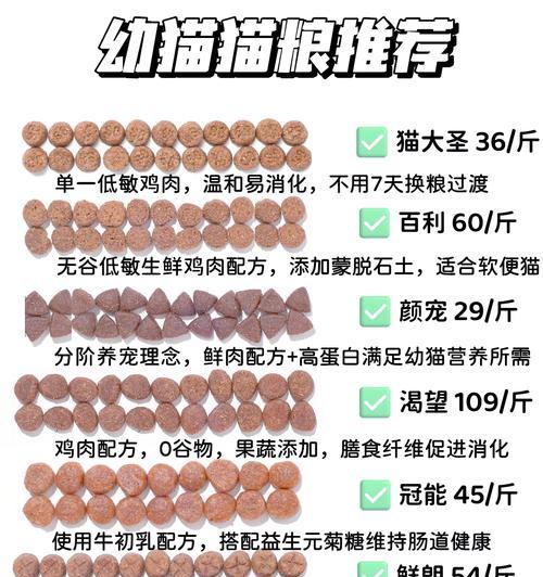 八个月小猫的饮食建议是什么？哪种猫粮最合适？