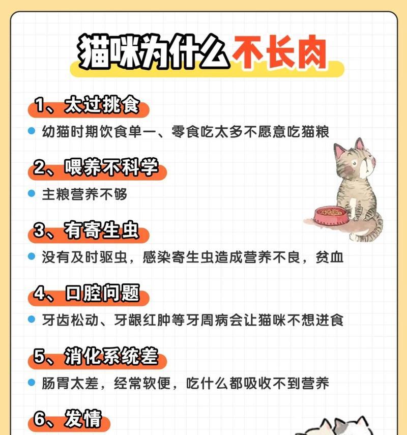 小猫咪肠胃炎时吃猫粮有什么影响？