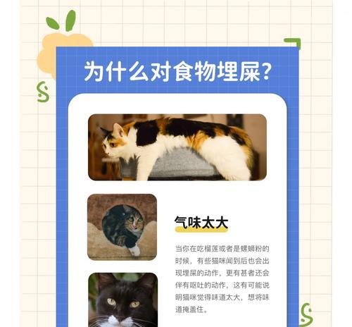 猫咪为何突然开始埋藏猫粮？这背后的原因是什么？