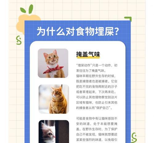 猫咪为何突然开始埋藏猫粮？这背后的原因是什么？