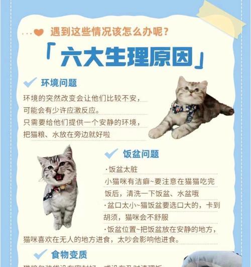 猫咪为何突然开始埋藏猫粮？这背后的原因是什么？