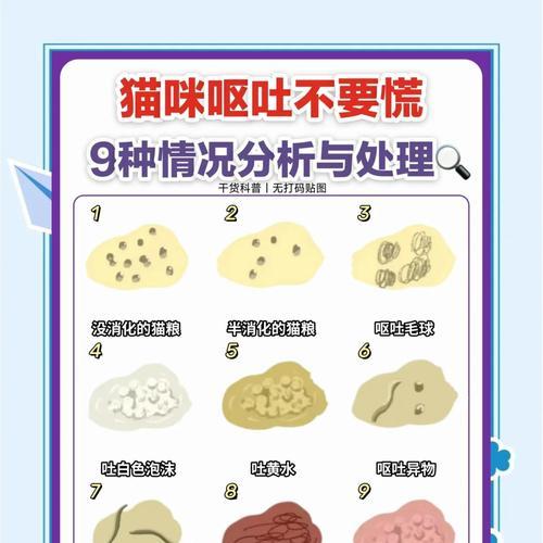 猫咪偏爱单一猫粮的原因是什么？