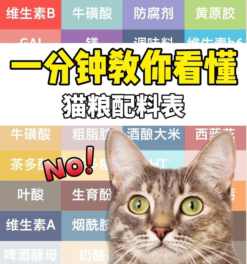 如何计算猫粮中的脂肪含量？了解这一信息的重要性是什么？