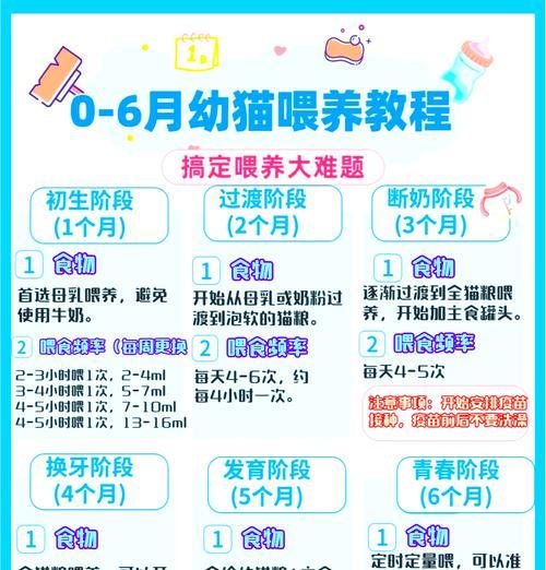 怀孕和产后猫咪应该如何喂食猫粮？