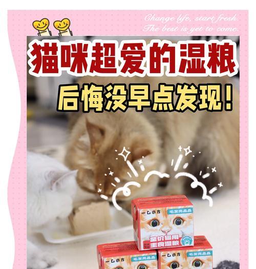 成猫食用湿粮会有哪些反应？