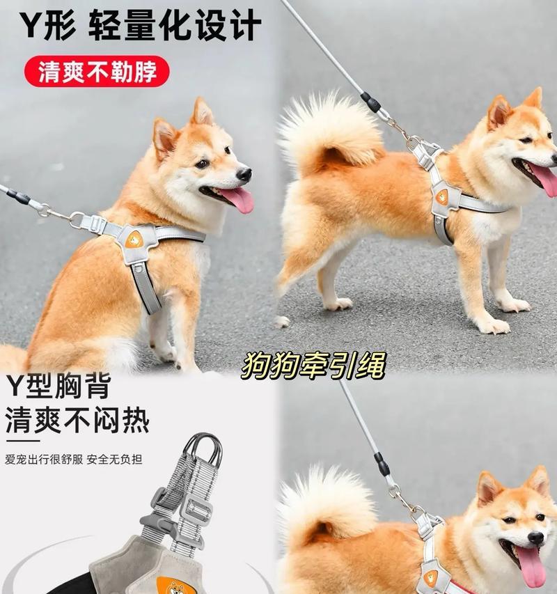 高品质德牧牵引绳价格是多少？如何挑选合适的牵引绳？