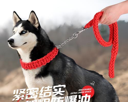 高品质德牧牵引绳价格是多少？如何挑选合适的牵引绳？