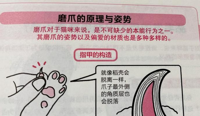 给猫倒猫粮时它为何会去磨爪子？这是什么行为？
