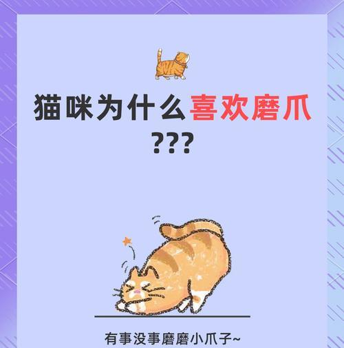 给猫倒猫粮时它为何会去磨爪子？这是什么行为？