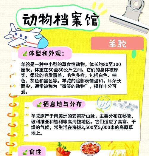在农村如何正确养殖羊驼？需要注意什么？