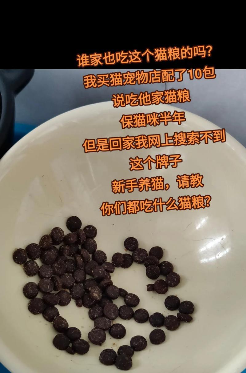 猫咪碗中剩余猫粮的原因是什么？如何解决？