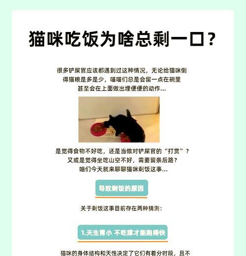 猫咪碗中剩余猫粮的原因是什么？如何解决？