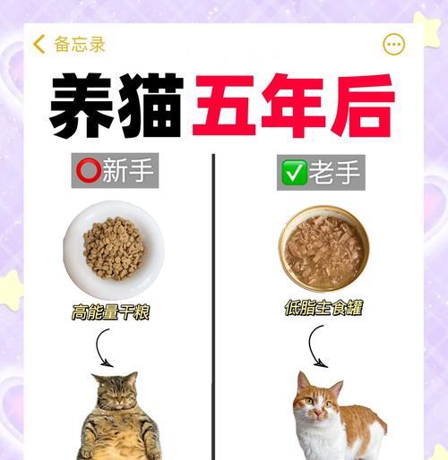 以前的猫不喂猫粮了吗怎么办？如何让猫咪适应新食物？