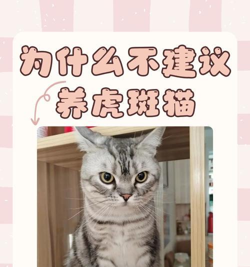 老虎不能吃猫粮的原因是什么？
