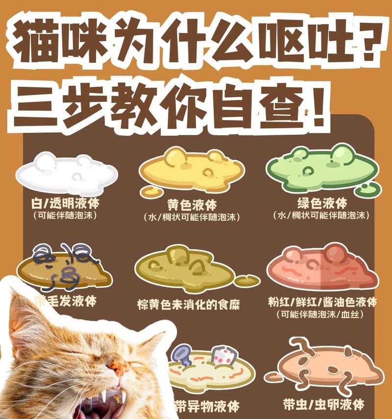 猫咪吃猫粮后呕吐是什么原因？