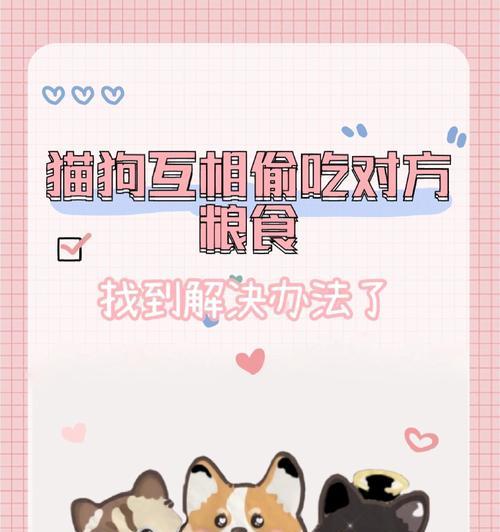 猫咪抓破皮后如何处理？如何防止猫咪偷食猫粮？