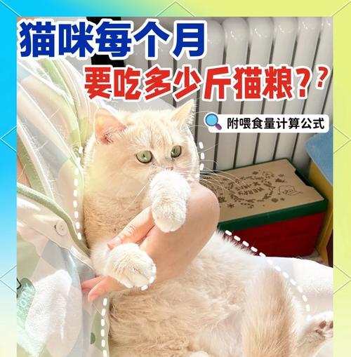 猫咪一个月半大时应该吃什么猫粮？选择猫粮的标准是什么？