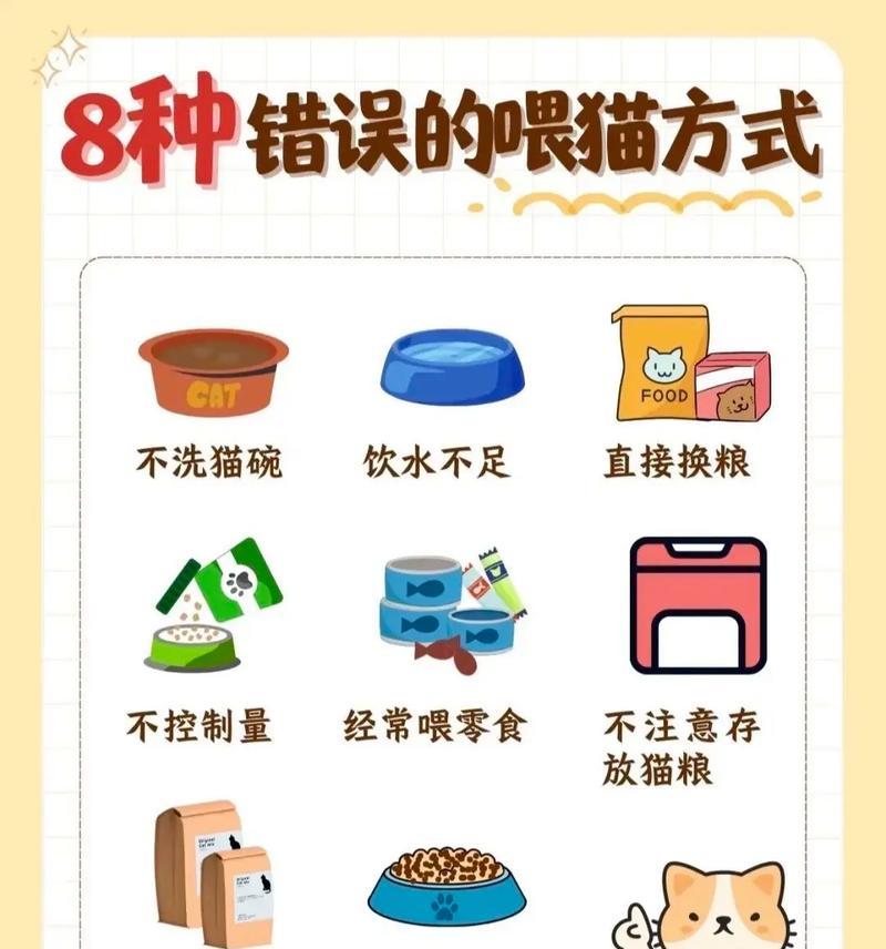 小猫只喝水不吃猫粮该如何解决？