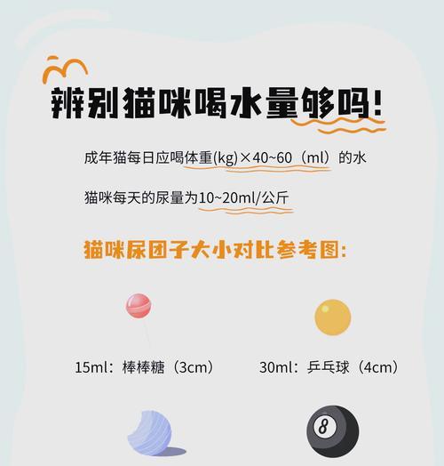 小猫只喝水不吃猫粮该如何解决？