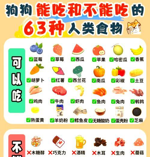 狗狗饮食转换时应注意什么？