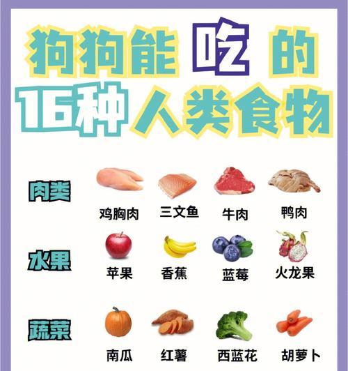 狗狗饮食转换时应注意什么？