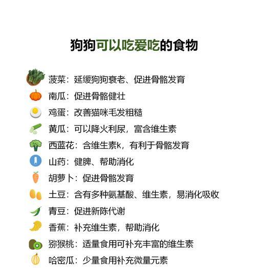 狗狗饮食转换时应注意什么？