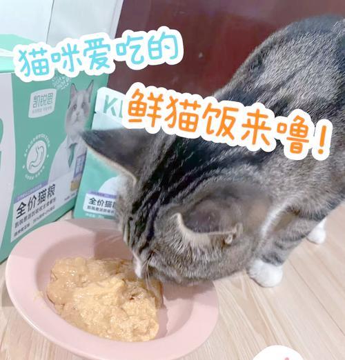 猫粮投放器中的防腐剂如何正确使用？防腐剂对猫咪健康有何影响？