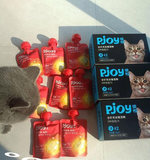猫粮投放器中的防腐剂如何正确使用？防腐剂对猫咪健康有何影响？