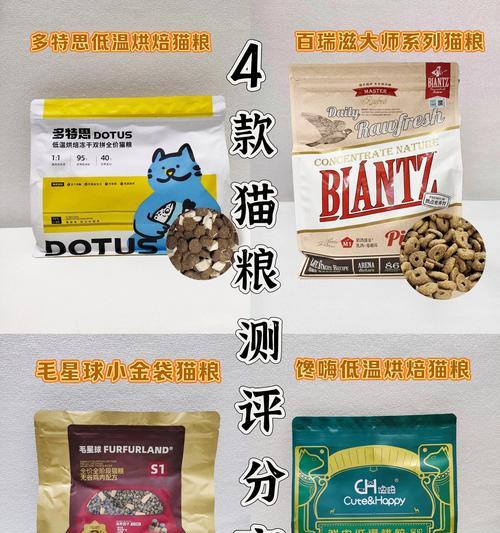 两只猫共享同一种猫粮需要注意什么？如何平衡它们的营养需求？