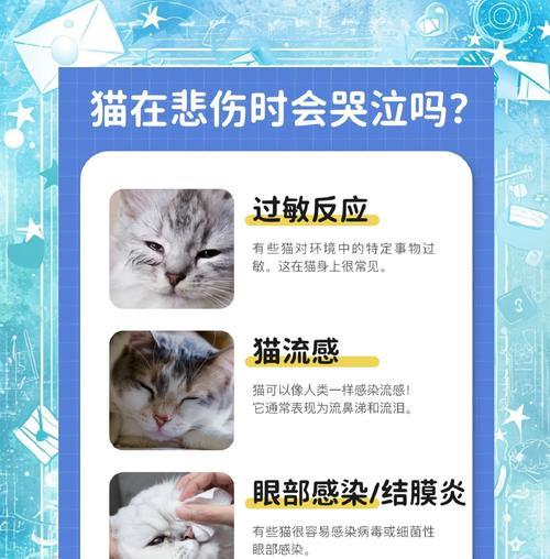 顽皮猫粮导致猫咪流眼泪怎么办？需要更换品牌吗？