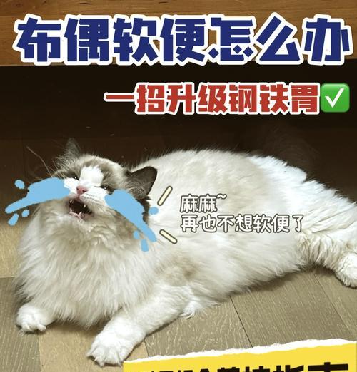 顽皮猫粮导致猫咪流眼泪怎么办？需要更换品牌吗？