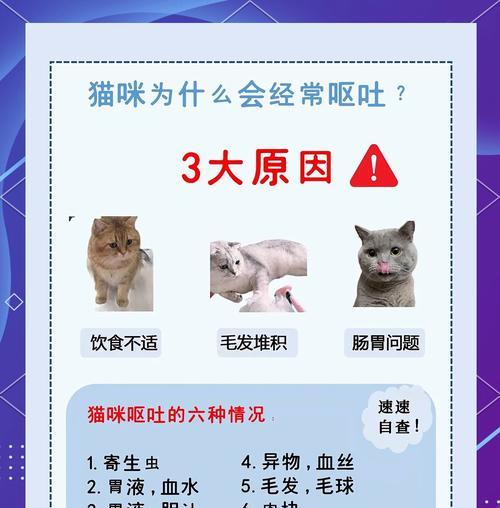 换猫粮导致猫咪呕吐腹泻怎么办？如何平稳过渡？