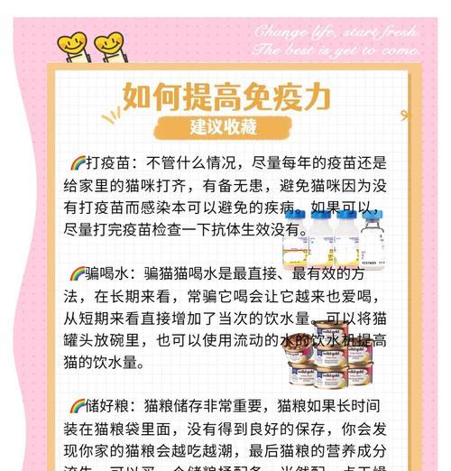 猫增加免疫力应该吃什么猫粮？如何选择增强免疫力的猫粮？
