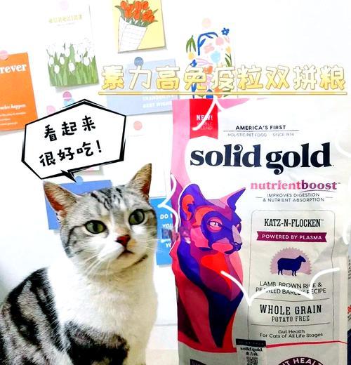 猫增加免疫力应该吃什么猫粮？如何选择增强免疫力的猫粮？