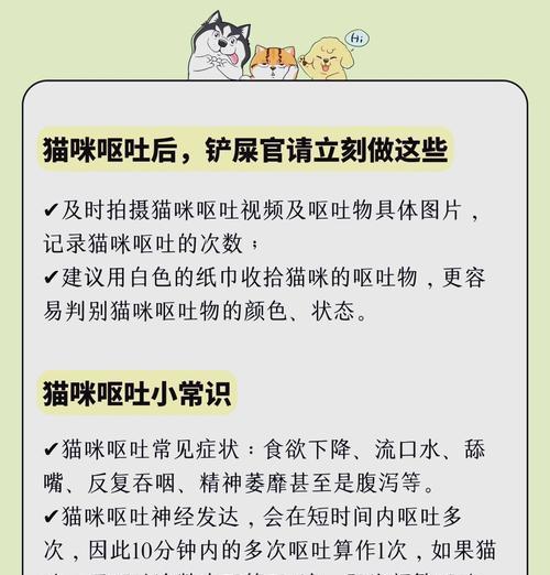 猫咪呕吐后如何快速恢复？