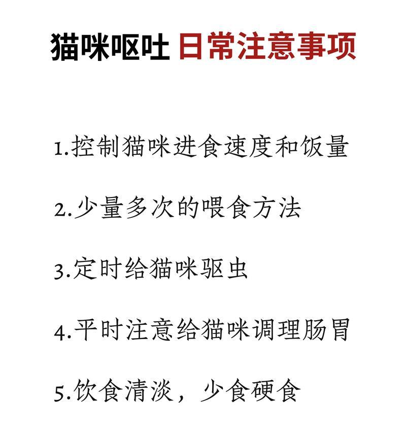 猫咪呕吐后如何快速恢复？