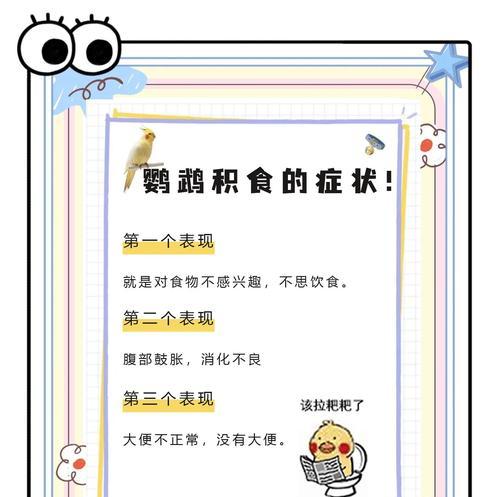 冻干鹦鹉喂猫粮消化不良怎么办？
