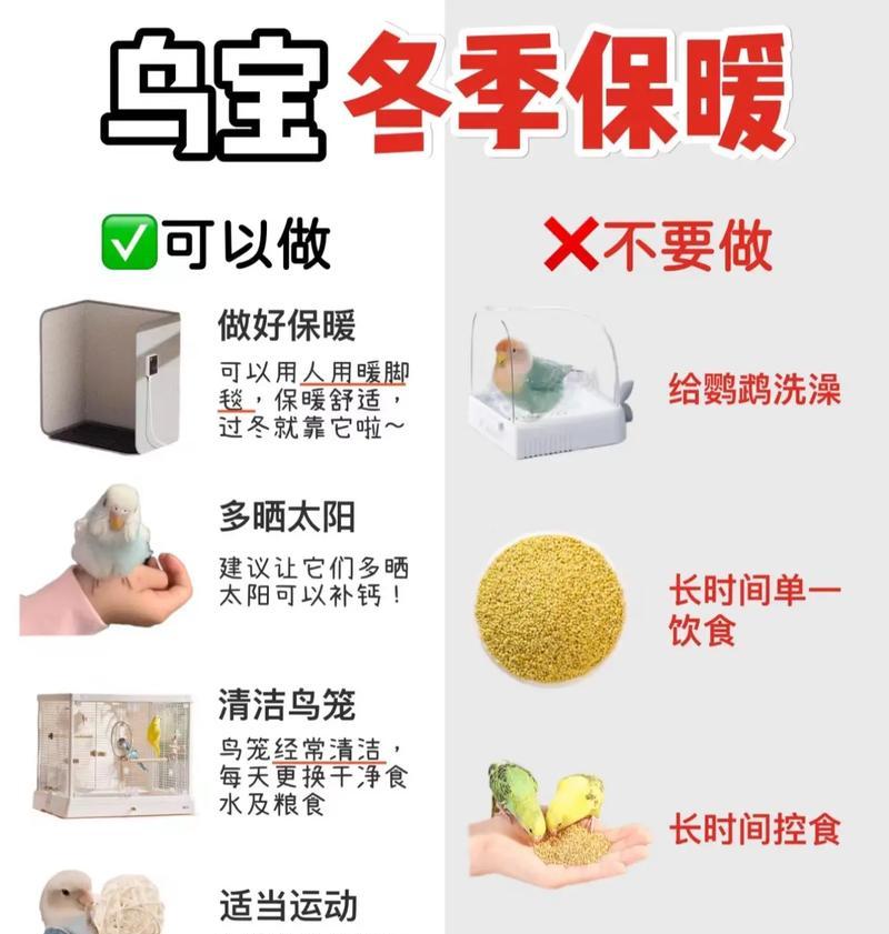 冻干鹦鹉喂猫粮消化不良怎么办？
