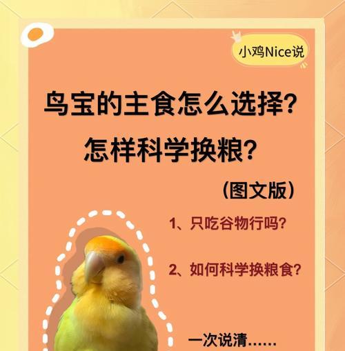 冻干鹦鹉喂猫粮消化不良怎么办？