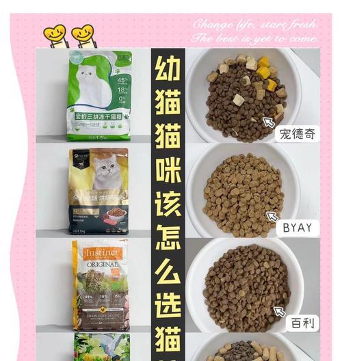 小猫如何正确喂食大盘猫粮？喂食量应如何控制？