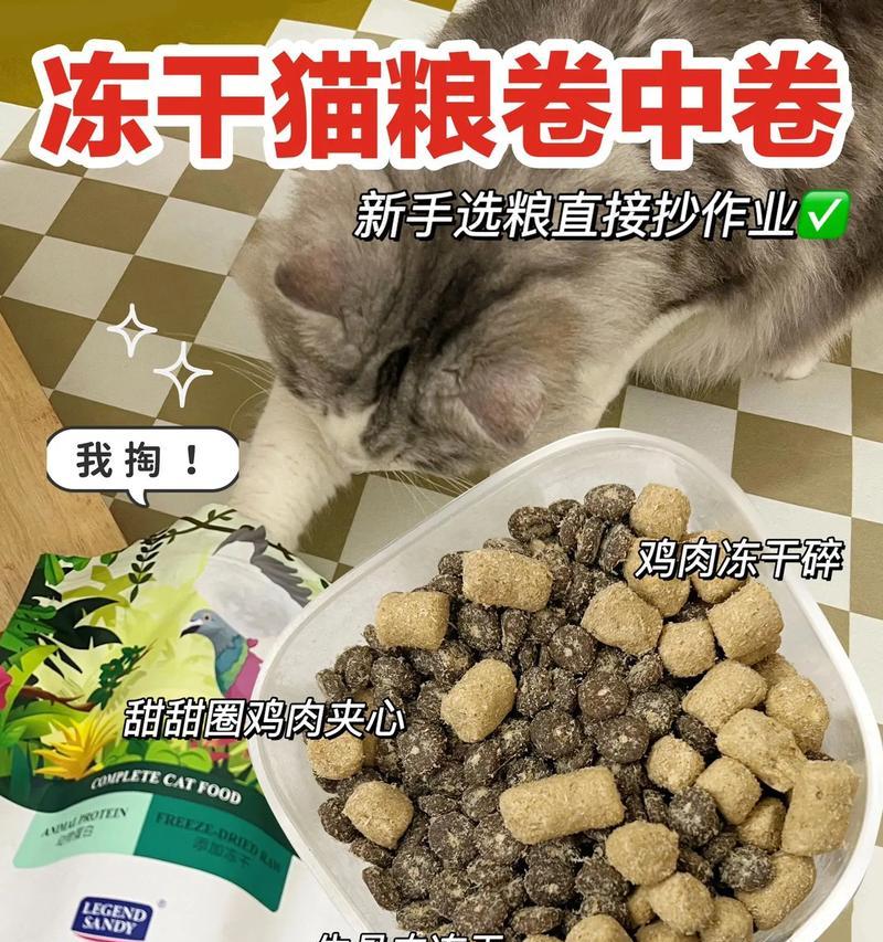适合英短蓝猫的猫粮有哪些？如何选择最佳猫粮？