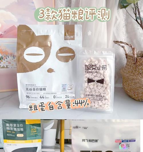 适合英短蓝猫的猫粮有哪些？如何选择最佳猫粮？