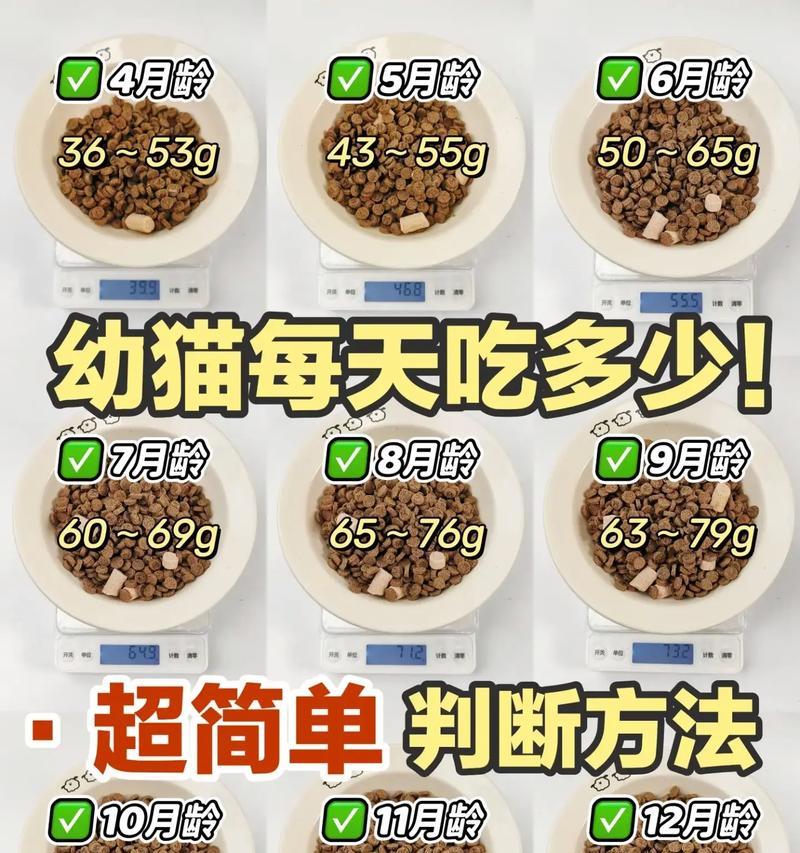 如何正确喂食猫咪新猫粮？需要注意什么？