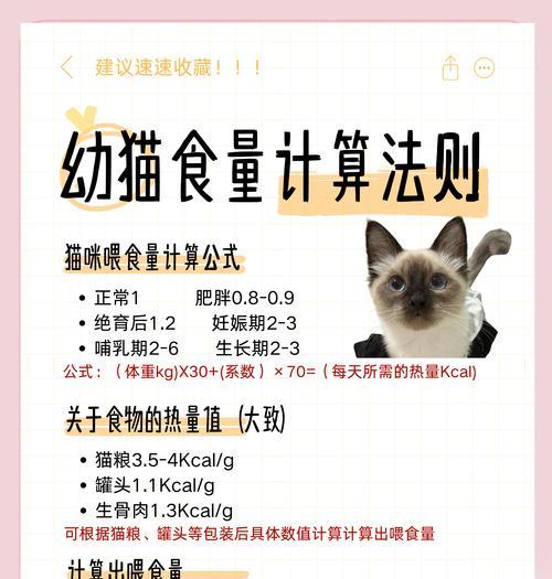 猫咪为何只在饿时才吃猫粮？