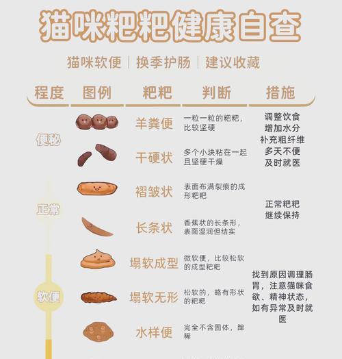 吃猫粮为什么拉屎好臭？猫粮导致猫咪排便臭的原因是什么？