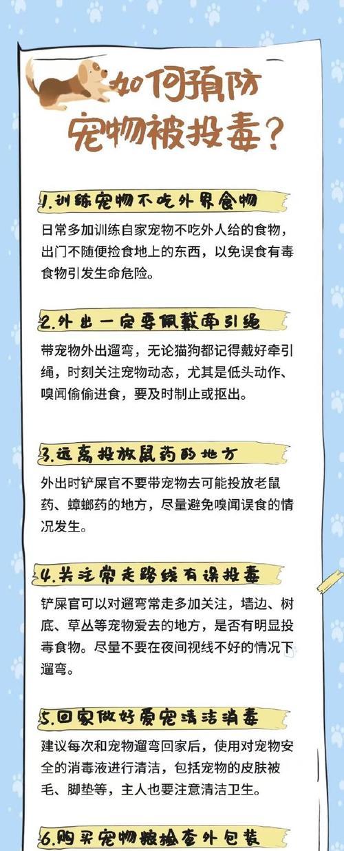 小狗吃猫粮会有危险吗？原因是什么？