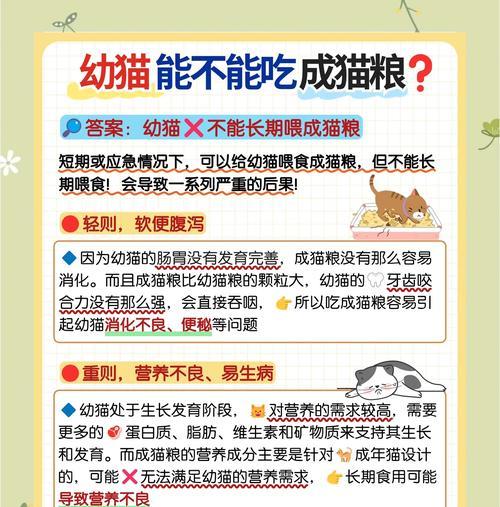 喂猫粮的孩子如何确保消化良好？