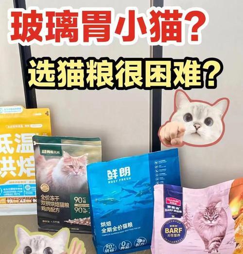 什么猫粮猫咪长的快一点？如何选择适合的猫粮？
