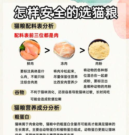 什么猫粮猫咪长的快一点？如何选择适合的猫粮？
